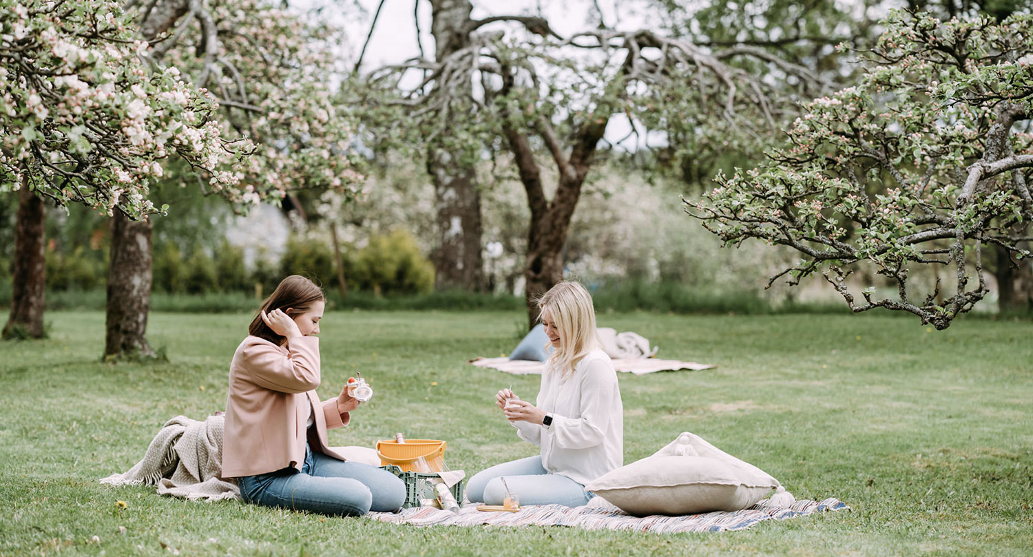 Kaksi naista piknikillä vihreässä puistossa.